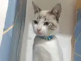 George 