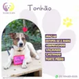 Tonhão