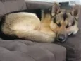 Steven