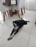 Nina