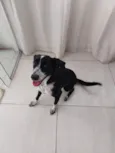Nina