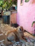 Safira 