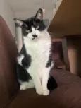 Natasha