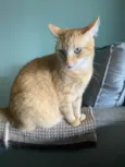 Tony