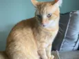 Tony