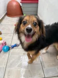 Bolinha