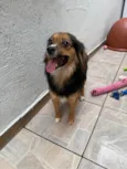 Bolinha