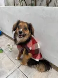 Bolinha
