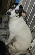 Dudinha