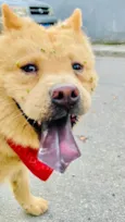 Ted