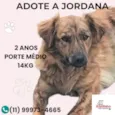 Jordana