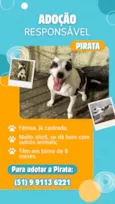 Pirata