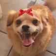 Teka