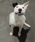 Nina