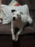 Nina