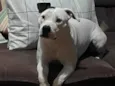 Nina