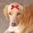 Clara 