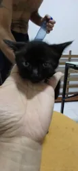 Miúda