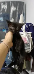 Miúda