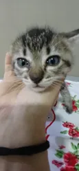Miúda