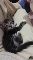 Theo,Fred