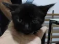 Miúda