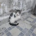 Ainda não tem um nome