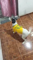 Fred 