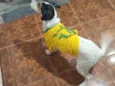 Fred 