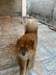 JORGE