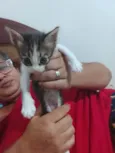 Petisco