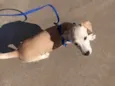 Billy 