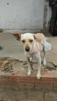 Mel