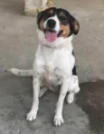 Megan
