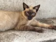 Cirilo 