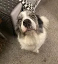 Jack