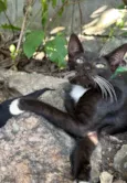 Tom