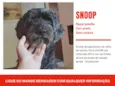 Snoppy