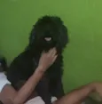 Snoppy