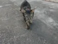 José 