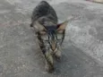 José 