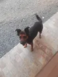 BILA