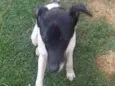 Zéca