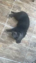 Nyna