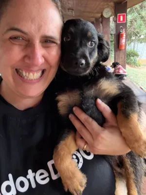 Cachorro raça SRD-ViraLata idade 2 a 6 meses nome Lipe 