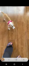 Meg