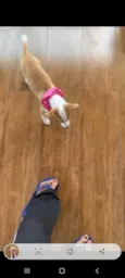 Meg