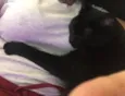 Mel