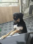 Tequila
