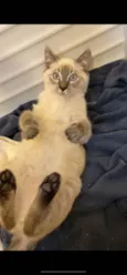 Miguel